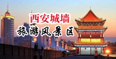 屄尻视频网站中国陕西-西安城墙旅游风景区